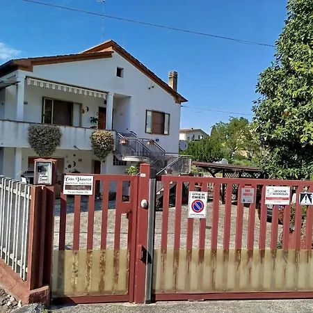 Magnolia Grande E Piccola Chieti